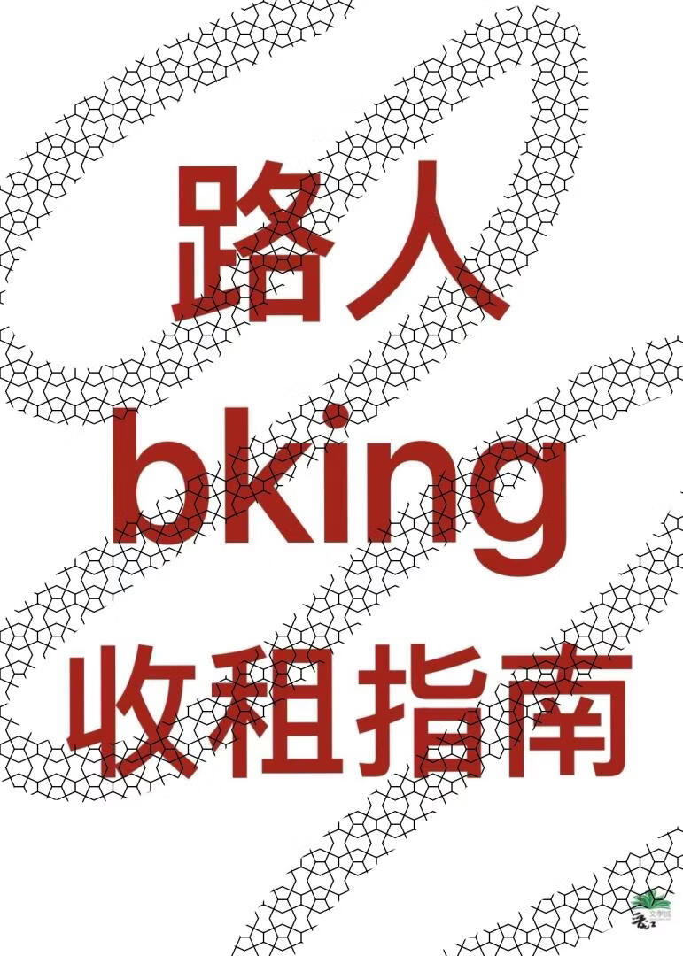 ·��bking����ָ��[����]